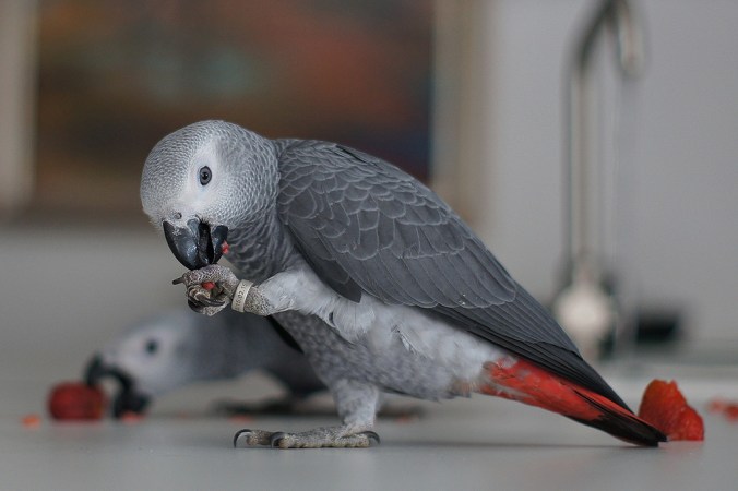 18735716519_f906a3979a_b