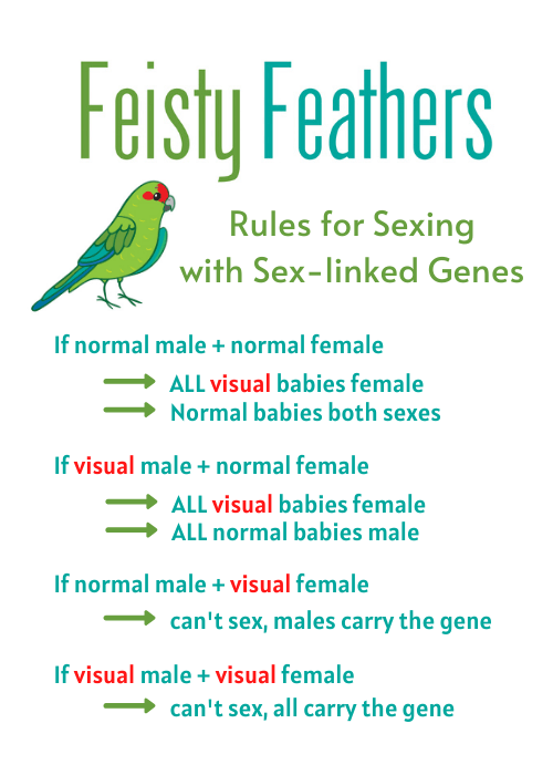 Rules for Sexing Sex-linked Genes
